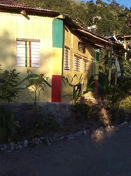 School Of Vision Guest House Newcastle