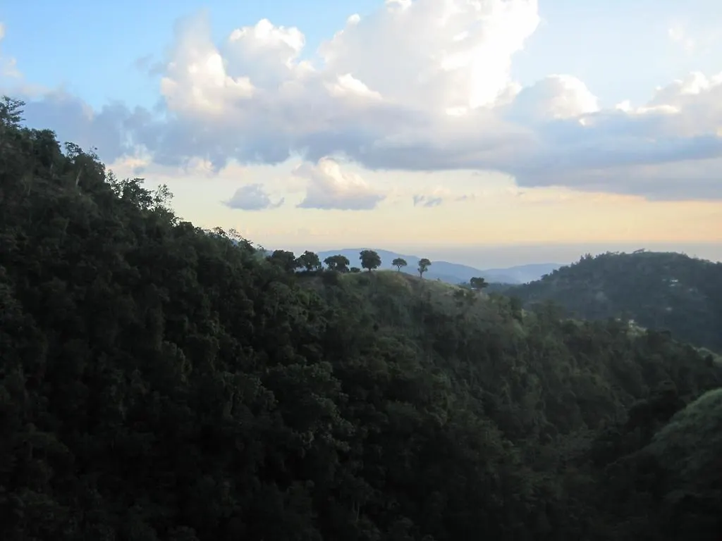 **  School Of Vision Guest House Newcastle Jamaica