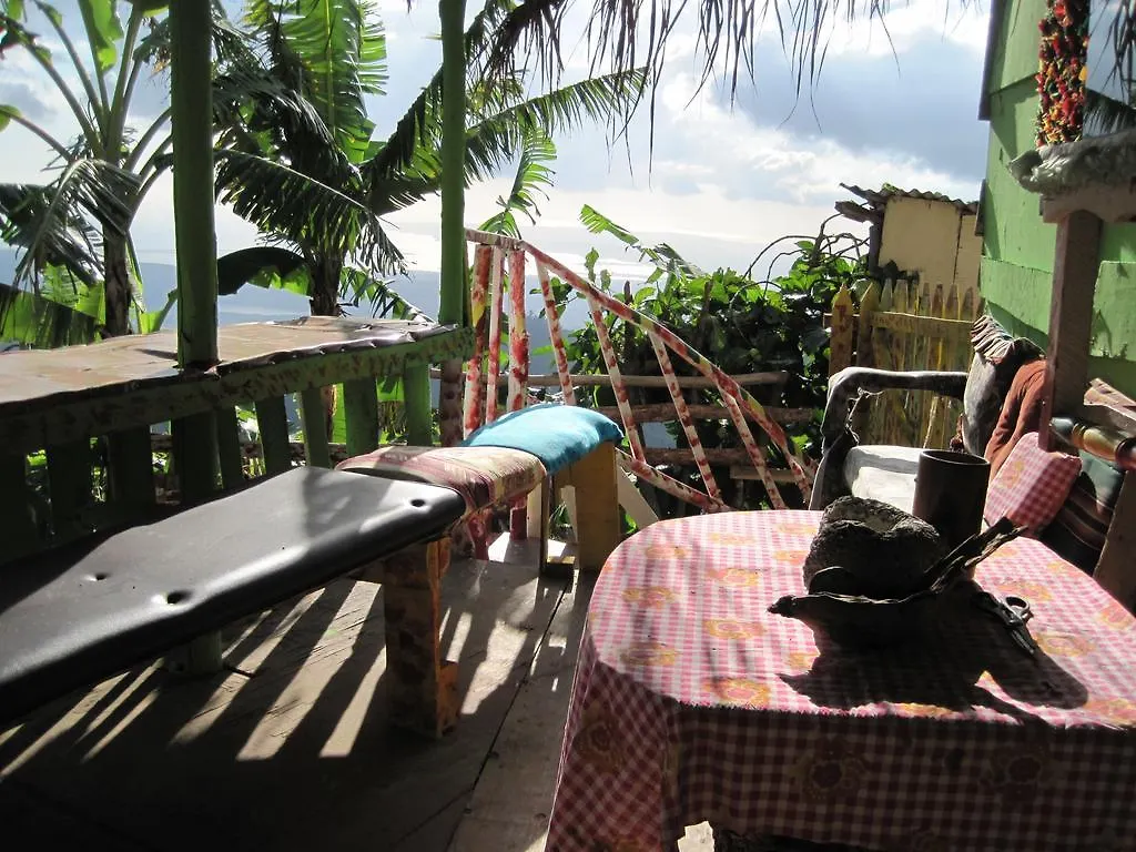 School Of Vision Guest House Newcastle