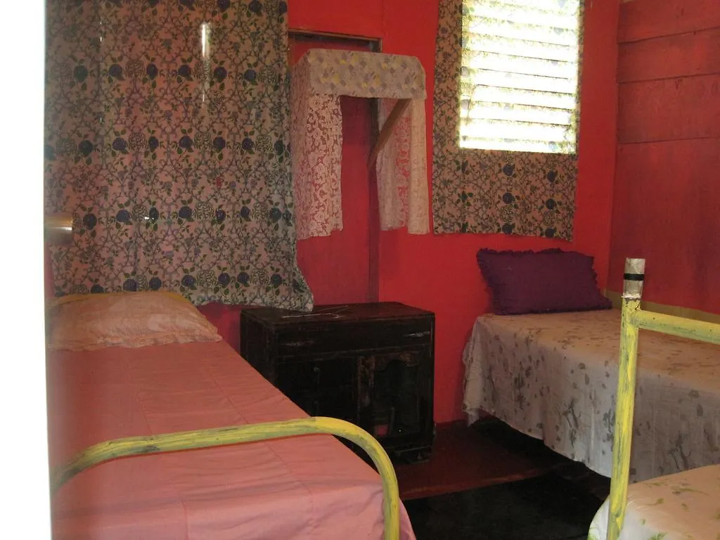 School Of Vision Guest House Newcastle