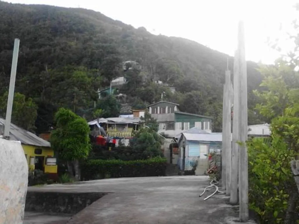 School Of Vision Guest House Newcastle